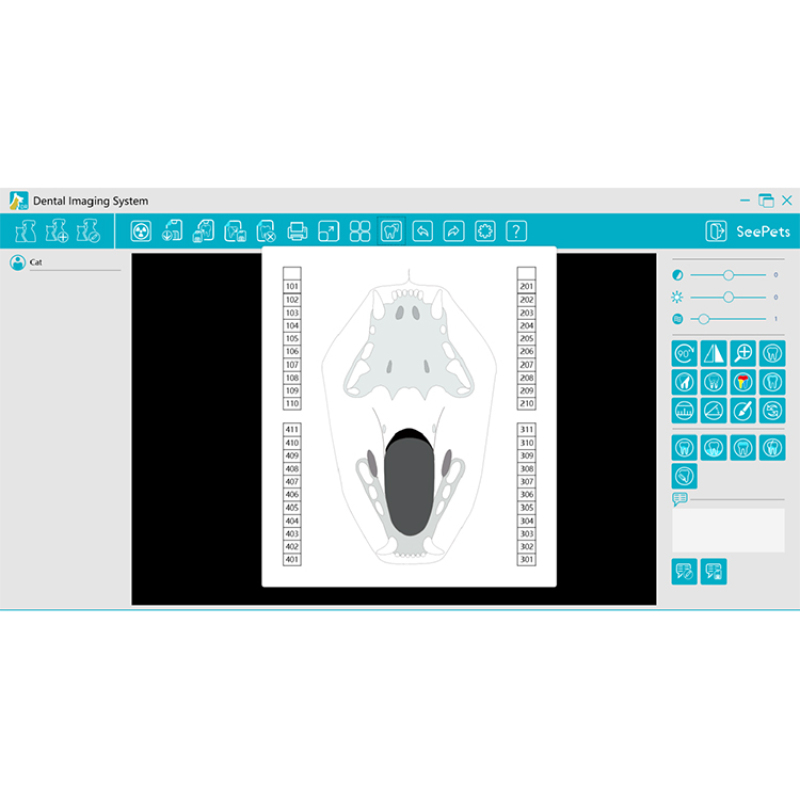 Perro gato sensor digital dental para mascotas