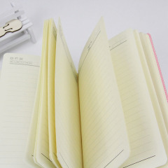 China Pink Lieferant Großhandel A5 Stoff Leder Dairy Journal Notebook mit Ordner