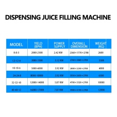 Low Price automatic liquid carbonated beverage beer glass bottle filling machine production line sparkling wine champagne