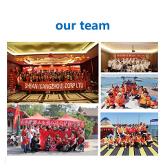 Wafer Biscuits Cake Candy Chocolate Bar Pillow Type Automatic Flow Servo Packing Machine Suppliers