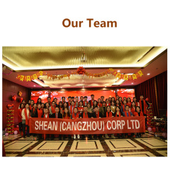 دقيق مسحوق التوابل والملح السكر بروتين مسحوق جاف شبه التلقائي ملء آلة التعبئة