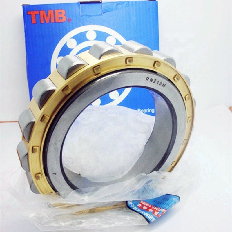 Cylindrical Roller Bearing RN205E RN205M Roller bearing without outer ring