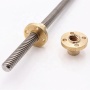 Stainless steel screw t8 Thread 8mm Length 350mm trapezoidal spindle screw with copper nut Lead Screw