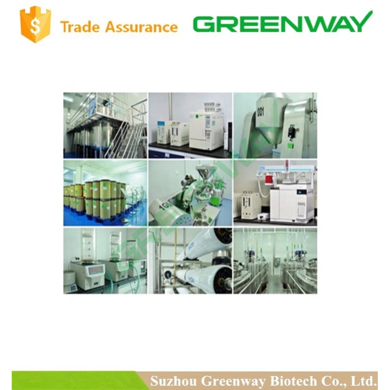 Chitosan,Pure Chitosan,Chitosan Powder