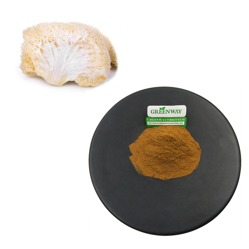 High Quality Hericium Erinaceus 10-50% Polysaccharide Bulk Organic Lions Mane Mushroom Extract Powder