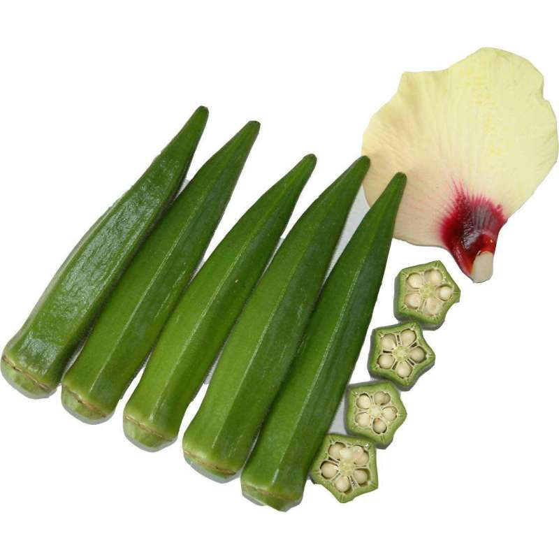 High Quality 100% Natural Okra Powder/Okra Extract