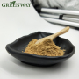 Herb Extract Natural Rosmarinus Officinalis Extract 10% Rosmarinic Acid
