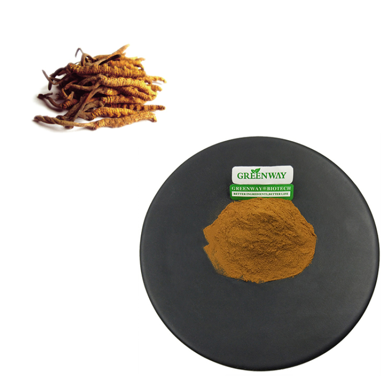High Quality Plant Extract Powder 20%-40% Polysaccharides Organic Cordyceps Extract Powder