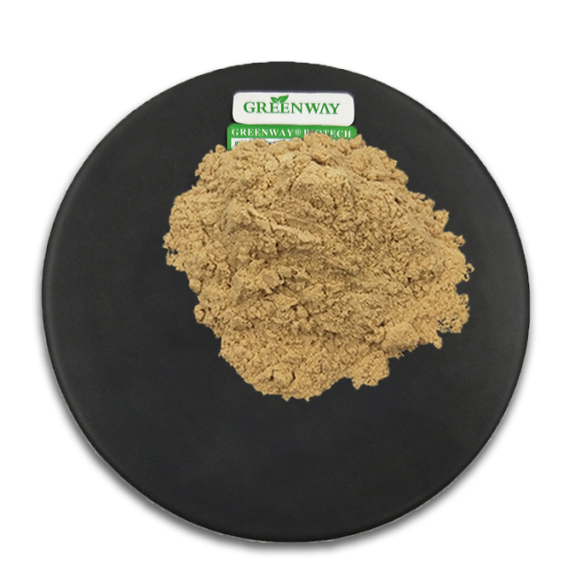 100% Pure and Fine Fenugreek Extract Powder / Seed Extract for Sale