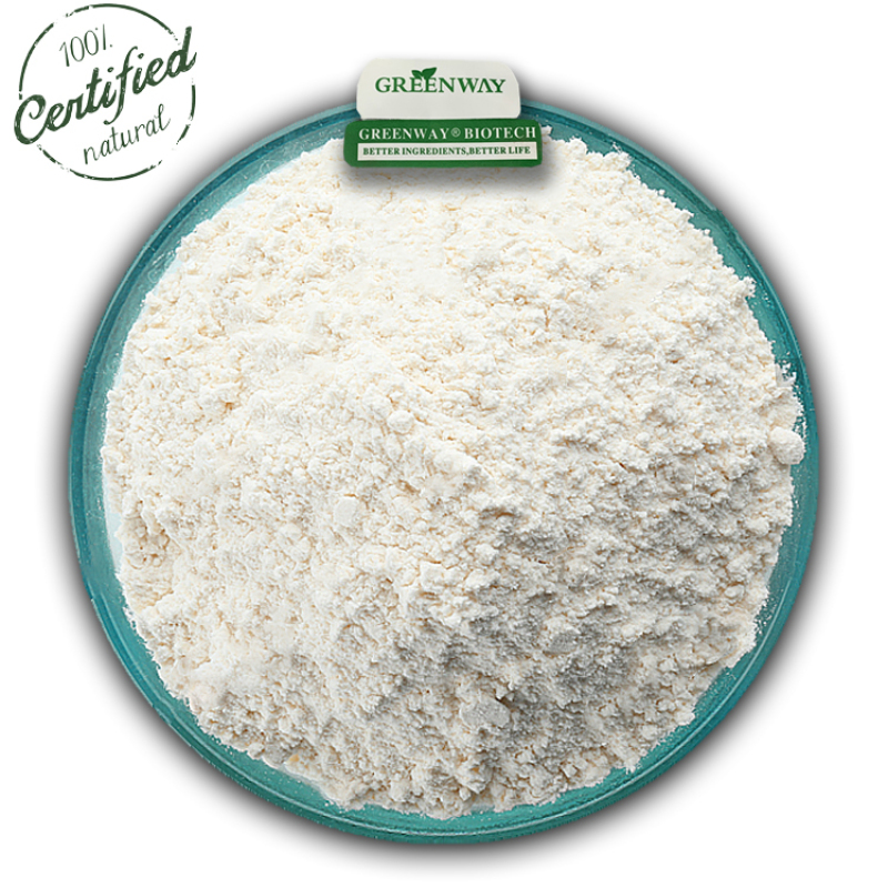 Natural Plant Extract Ammothamnine Bulk Oxymatrine Extract Powder CAS 16837-52-8 98% Oxymatrine