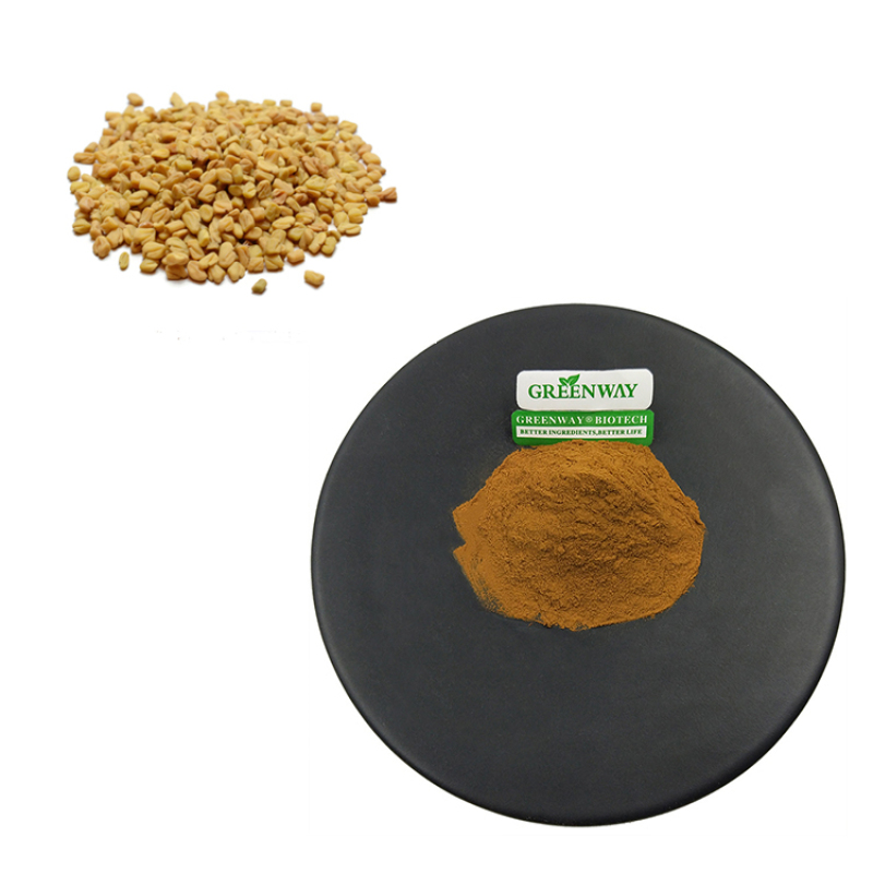 Natural Plant Extract 50% Saponin Common Fenugreek Seed Extract Powder