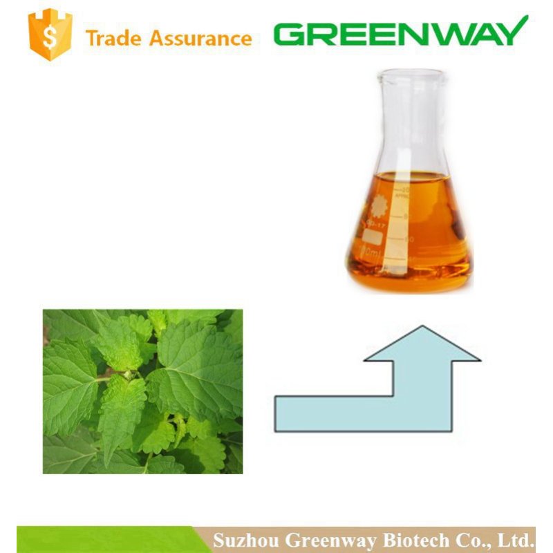 Best Selling Pure Natural Patchouli oil