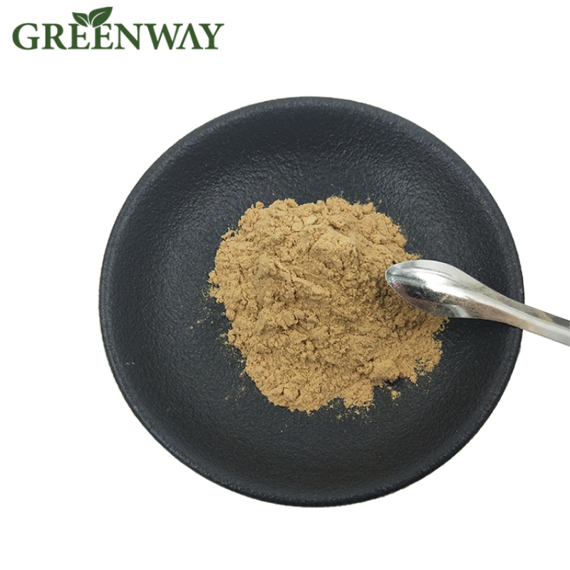 Greenway Supplied Bulk Ganoderma Lucidum 10-40% Polysaccharide Organic Reishi Mushroom Extract Powder