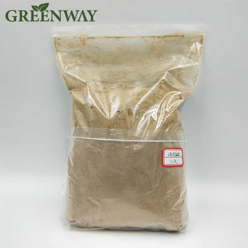 Factory Supply Hot Sale High Quality 100% Natural Flaxseed Extract Powder 20% Lignans Flaxseed Extract