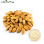 Factory Supply High Quality Food Grade Apricot Kernel Extract Natural Organic Freeze Dried Almond Milk Powder