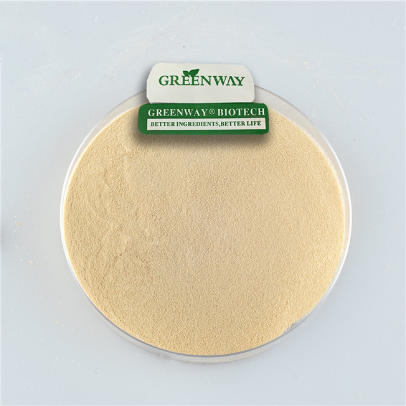 Pure Natural Fine Quinoa Powder Quinoa Protein Extract Powder