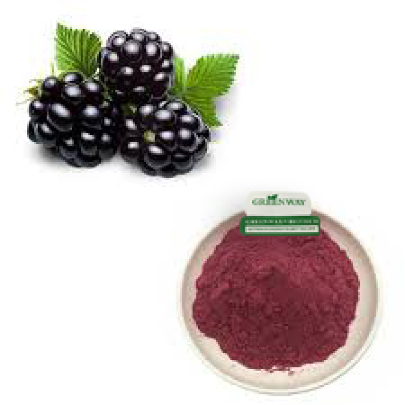 Greenway Supply Mulberry Fruit Powder / Mulberry Fruit Extract