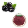 Greenway Supply Mulberry Fruit Powder / Mulberry Fruit Extract
