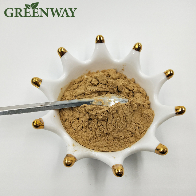 Greenway Produced Fructus Lycii Extract Bulk Goji Berry Extract Powder 40% Polysaccharides Natural Wolfberry Extract
