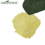 Factory Supply CAS 518-17-2 Fructus Evodiae Extract 98% Evodiamine