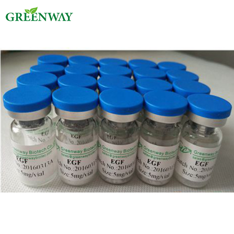 Recombinant Human Epidermal Growth Factor(rhEGF)