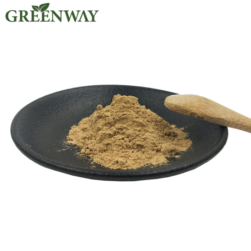 Organic Stigmata Maydis Extract Powder Stigmata Maydis P.E. Corn Silk P.E.