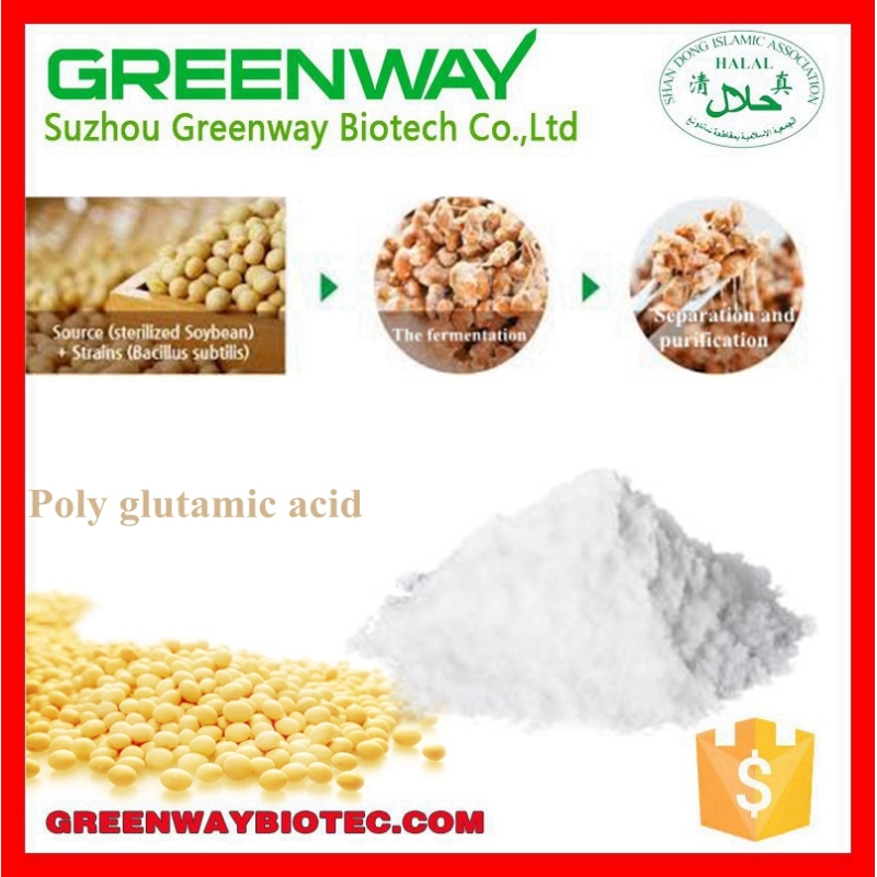 High Quality Gamma Poly Glutamic Acid