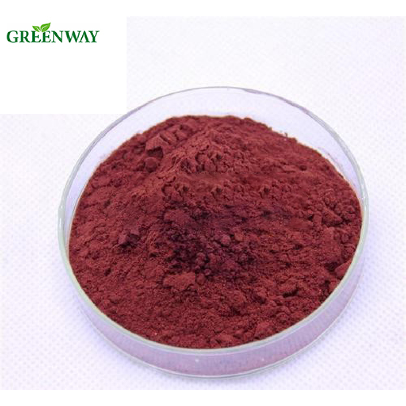 Anti-Aging Product Natural Organic Proanthocyanidins 98% Peanut Shell/Peanut Skin Extract