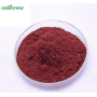 Anti-Aging Product Natural Organic Proanthocyanidins 98% Peanut Shell/Peanut Skin Extract