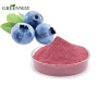 High quality extract Blueberry powder price 1kg/Blueberry juice powder