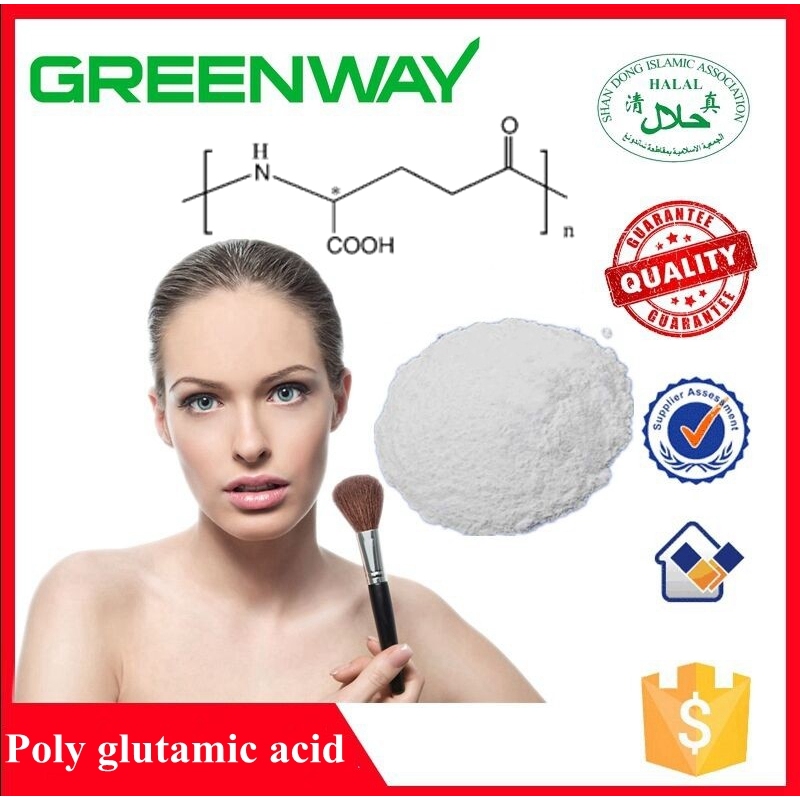 Best Price Cosmetic Grade Gamma Polyglutamic Acid