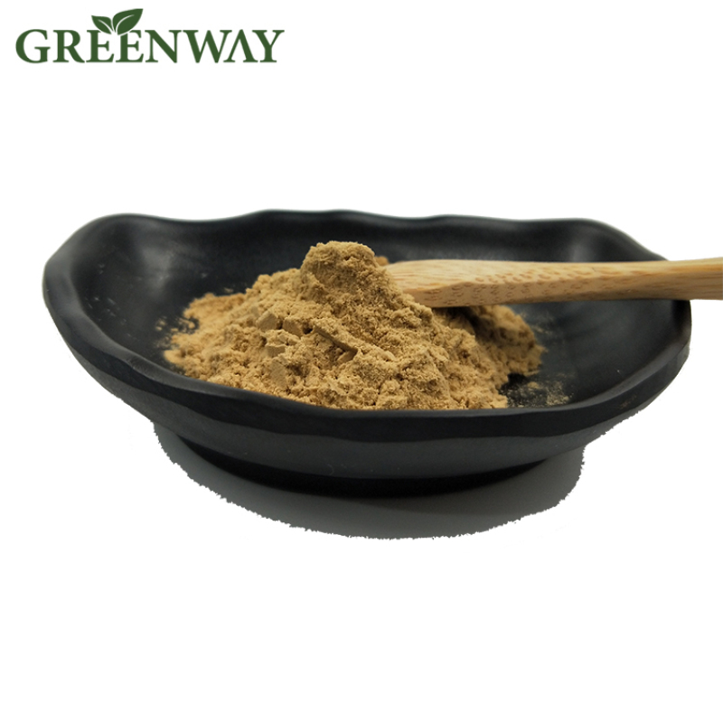 High purity Shiitake mushroom extract 30% lentinan / shiitake mushroom powder