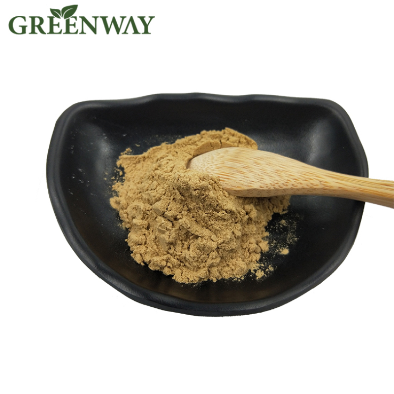 Natural Cassia Angustifolia Extract 10% Sennosides Senna Leaf Extract Powder