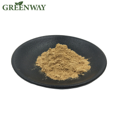 10%-50% lentinan shitake mushroom extract / lentinus edodes extract