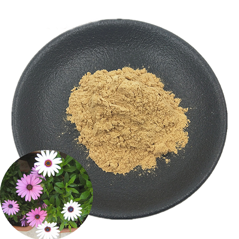 Hot Sale Best Price Natural Organic Mesembrine 98% Sceletium Tortuosum Standardized Extract Mesembrianthemum Kanna Extract
