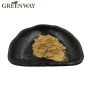 Hot Sales Reishi mushroom extract Price Ganoderma Lucidum