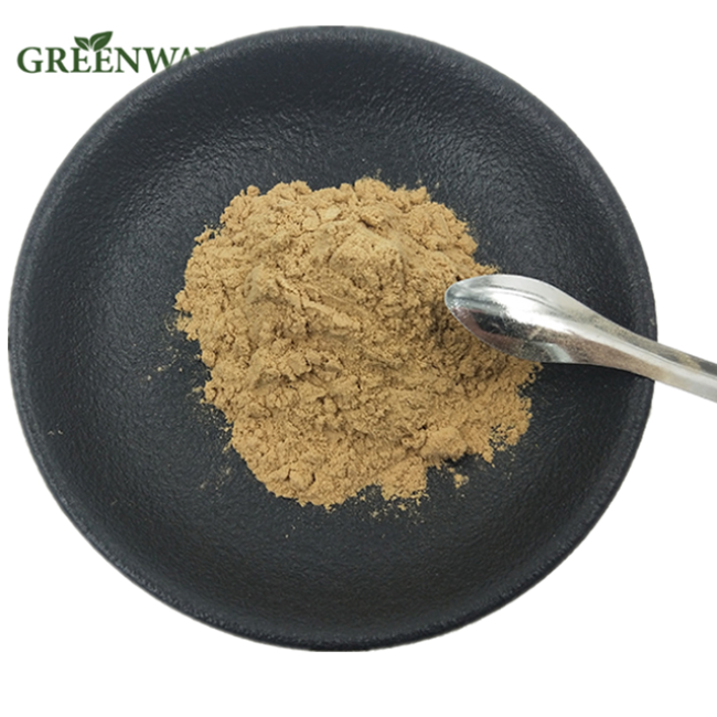100% Organic Natural Ginkgo Biloba Leaf Extract Powder CAS 90045-36-6 Ginkgo Biloba Powder