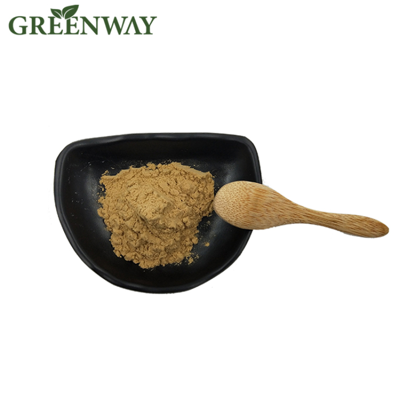 Natural Cassia Angustifolia Extract 10% Sennosides Senna Leaf Extract Powder