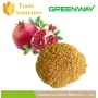 High-quality Ellagic Acid, CAS 476-66-4, Ellagic Acid Powder