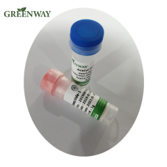 Cosmetic Raw Materials Hair Care Peptide Decapeptide-10/Decapeptide-18 and Oligopeptide-54