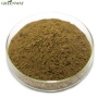 Hot Sale Best Price Natural Organic Mesembrine 98% Sceletium Tortuosum Standardized Extract Mesembrianthemum Kanna Extract