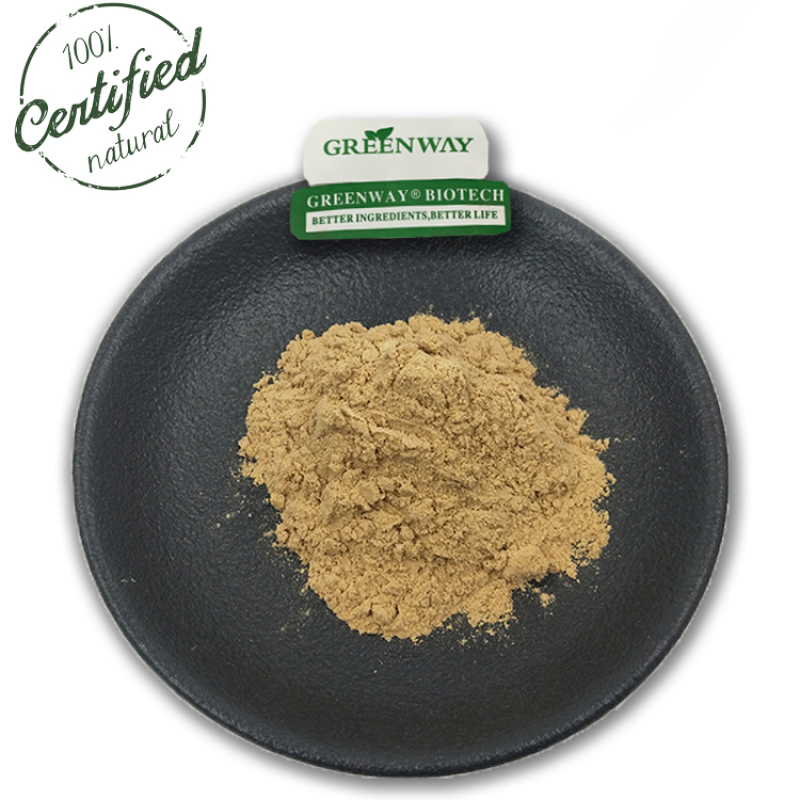 Organic Xanthohumol Xanthohumol Humulus Lupulus Extract 99% Xanthohumol Hops Flower Extract Hops Extract Powder