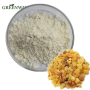 Top Quality Natural Frankincense Extract/Frankincense Resin Extract Powder