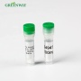 Cosmetic Peptides Anti-Wrinkle CAS 616204-22-9 Acetyl Hexapeptide-8 Powder