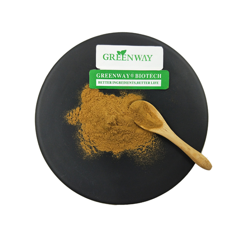 Greenway Supply Pure Natural Food Grade Bearberry Fruit Extract Powder