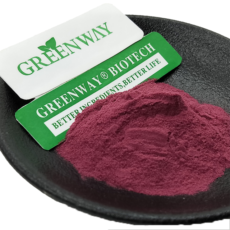 Professional Extract Manufacturer Acai Berry Extract Powder For Health Product