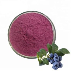 100% Natural Organic wild Bilberry Extract powder / Blueberry Powder / Blueberry Seeds Extract Powder