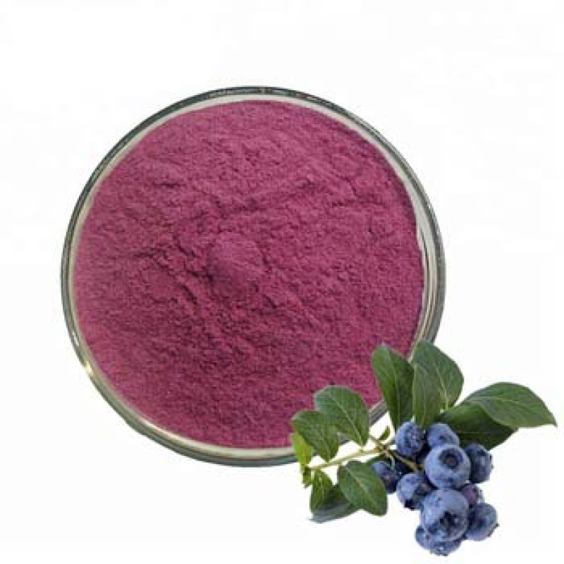 Greenway Supply 100% Natural Blueberry Extract Powder / Blueberry Anthocyanin