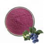 Greenway Supply 100% Natural Blueberry Extract Powder / Blueberry Anthocyanin