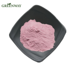 Natural Cherry Fruit Extract Pure Acerola extract powder